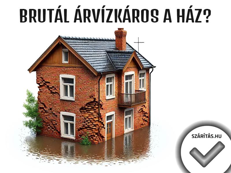 Árvízkárosult ház