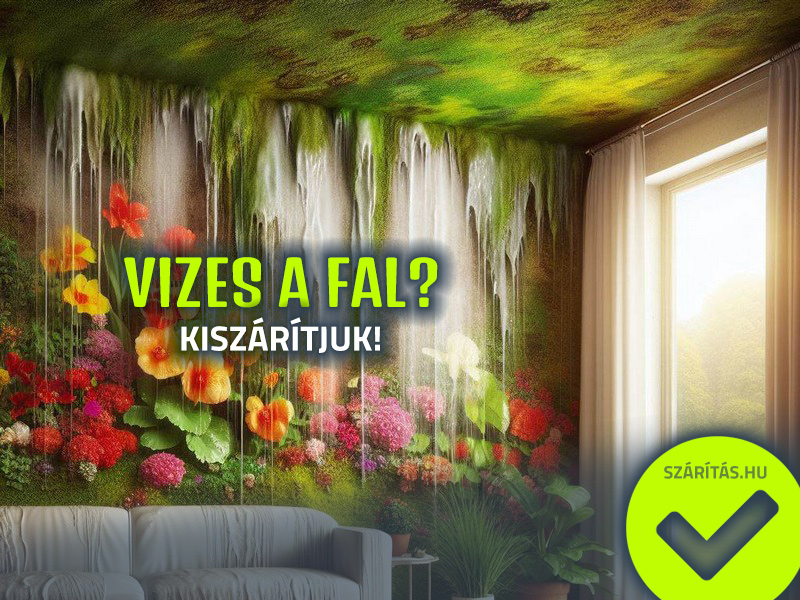 vizes fal szárítás