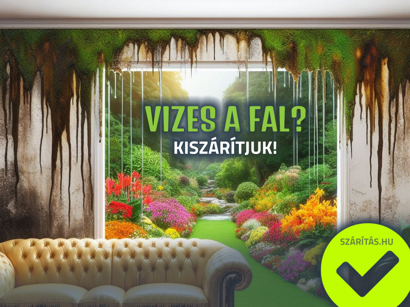 vizes fal szárítás