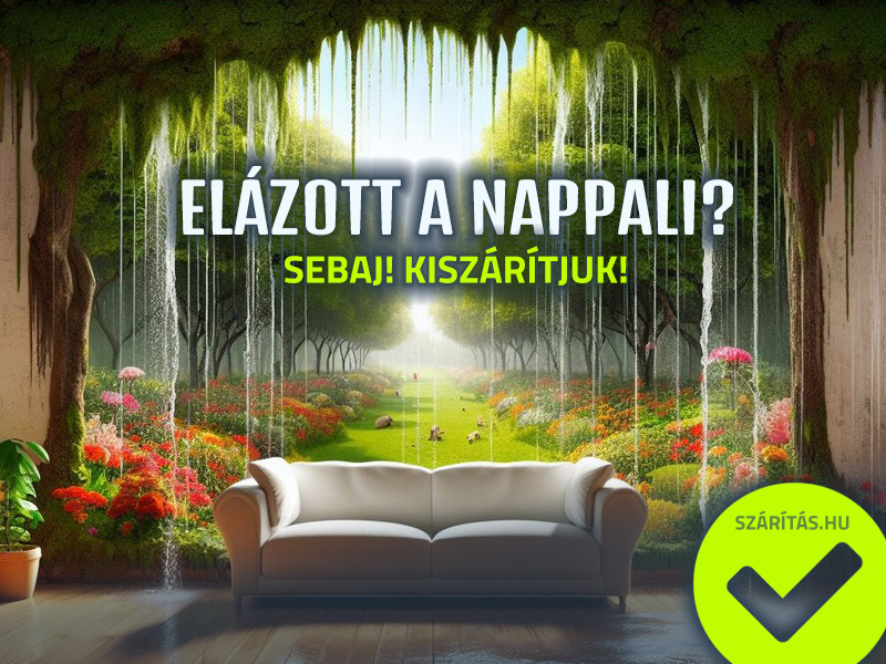 vizes fal szárítás