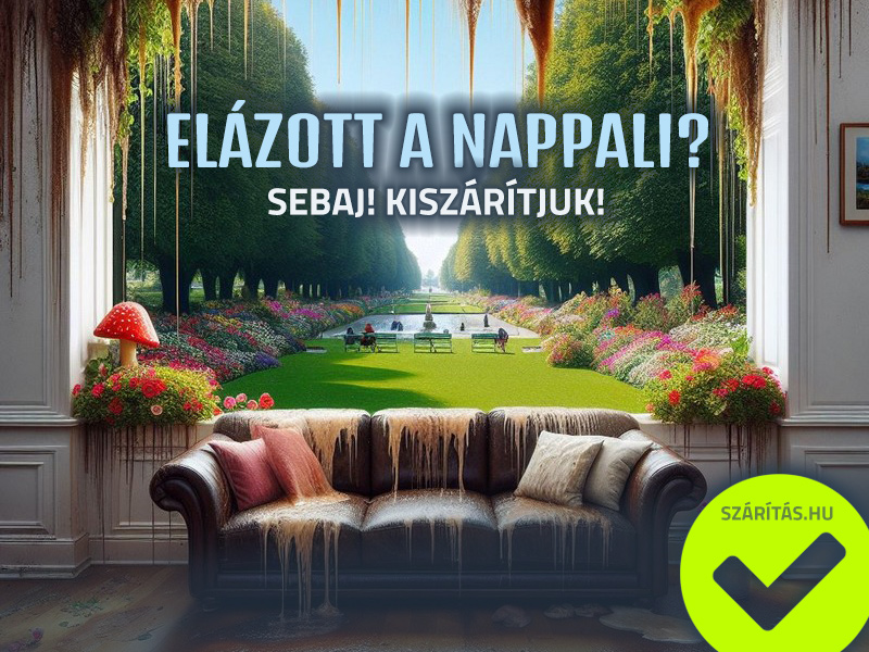 vizes fal szárítás