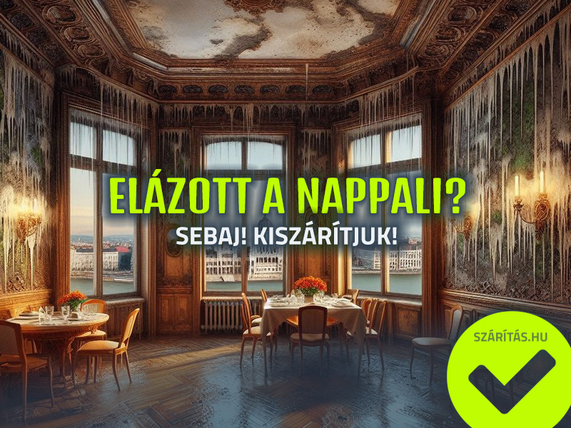 vizes fal szárítás